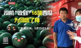 今日爆料 反差吃瓜,反转再反转！娱乐圈爆料背后的惊人真相